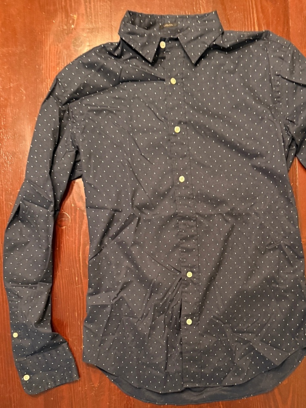 Crewcuts Ludlow button-up collared shirt Sz 16